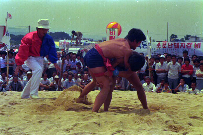 1985_그네.씨름002.jpg