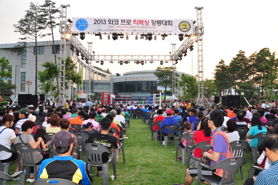 2013와코프로킥복싱030.JPG
