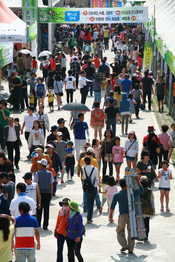 2013인파및전경010.JPG